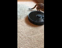 Cat curious about Roomba 