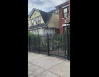 Mama raccoon climbs up house to save her children 