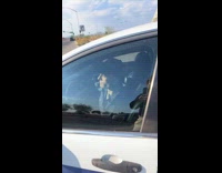 Woman sees dummy cop inside police car