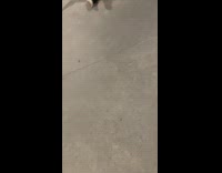 Guy rides metal pole with skateboard lands on butt