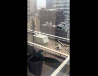 Person wave stick at seagulls on building rooftop