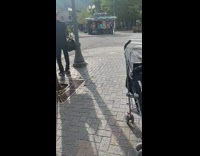 Pregnant woman black dress blue bag dog