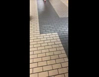 Guy poops in black trash can subway 