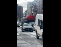Truck transporting enormous bouquet