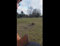 Woman amused with nutria walks around park
