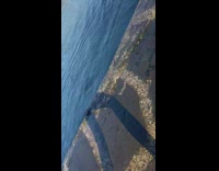 Dog walk on beach bridge falls down