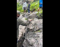 Collab BitchMP - Man petting squirrel while hiking 