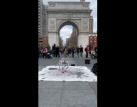 Robot dog pink hat jump trick park