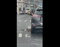 Guy in suv with arm out window and a bunch of birds surrounding