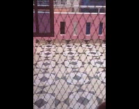 Girl recreates 20th century fox song screen 