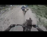 Biker falls down and gets hit by bike