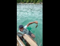 Vendor man swim in ocean holds pufferfish