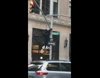 Gorilla suit guy climbs on top of street light and dances Madison ave