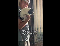 Blind dog sniffs its favorite person nearby