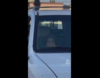 Little grandam sitting in white suv car hammer on head emoji