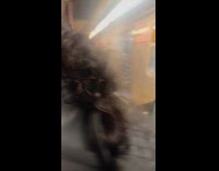 Heavy rain fall over train with open doors