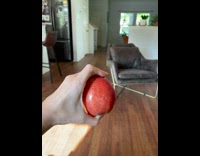 Apple with a half red color and yellow