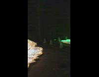 Garden lights christmas tree decoration night time