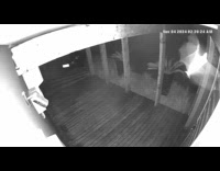 Bat fly near security camera porch night