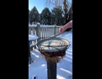 Woman prepares bird feeder at snowy backyard