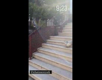 Three chickens hanging out on steps of home