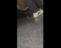 Small Mouse Walks Out then Runs to Hide