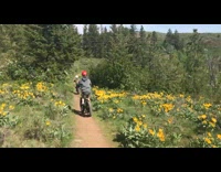 Guy fall from bike look for bug