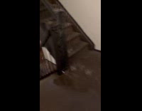 Collab WINY - Rain pours down inside apartment building 