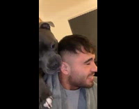 Black dog trying to bite owners ear 
