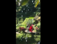 Collab IITW - Woman red dress dances at the resort