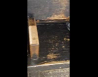 Collab WINY - Brown shoes and pigeon on bench subway