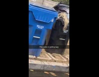 Collab ZarSubmissions - Guy sees blonde wig in trash can