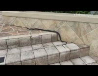 Black snake crawls up stairs outside 