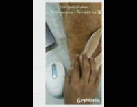 Girl pets brown bunny white computer mouse