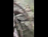 Filmer try to approach ermine by the rocks