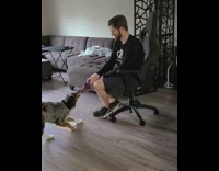 Dog playing tug of war pulls guy 