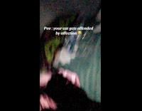 Cat doesnt like affection hits hooman on face