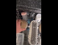 Guy opens dishwasher with sex toy in it 