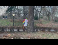 Two inflatable unicorn costumes walk around park 