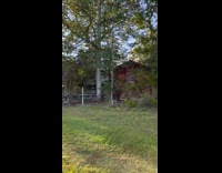 Michael Myers dances after killing 