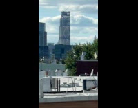 Racoon and guys filming on rooftop