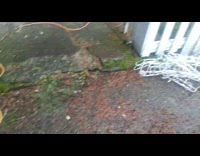 Guy finds bullet on driveway ground 