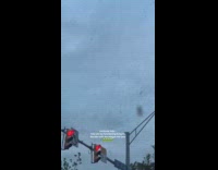 Submitter shows town infested with midges