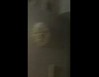 Cat on sofa watch DDOI video TV