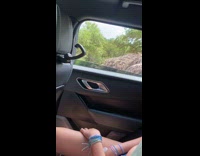 Ostrich pecks the food inside the car Part 6