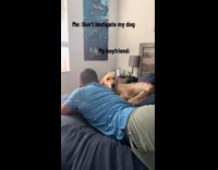 Guy bothering dog in bed