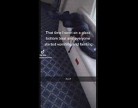 Everyone faints and vomits glass bottom boat