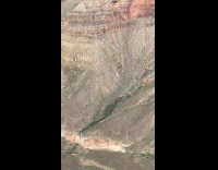 Squirrel on edge of cliff on canyon