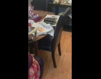 Dog inside cage stare at sushi rolls