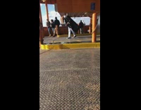 Woman dances on boat ship as wind blows her back